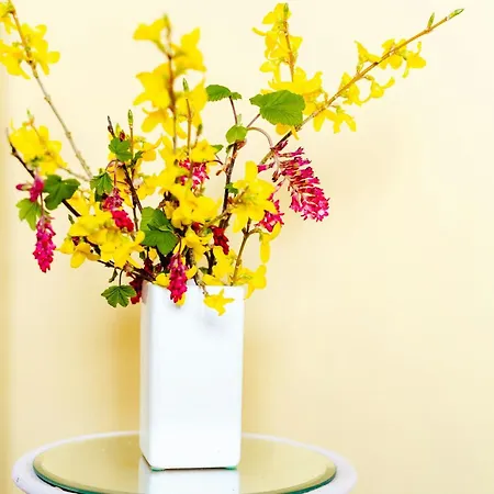 Colourful Family House With Pastels And Garden 펜션 *